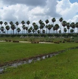 Meet your Posher, Fidelia